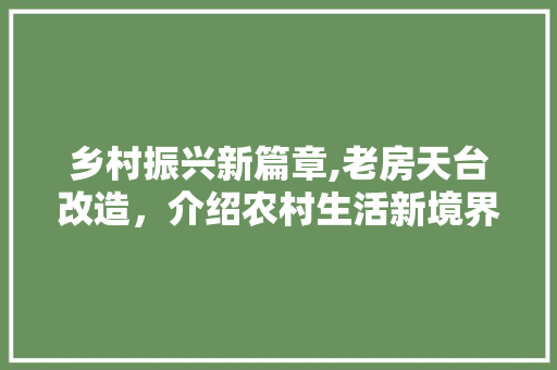 乡村振兴新篇章,老房天台改造，介绍农村生活新境界