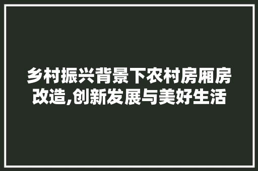 乡村振兴背景下农村房厢房改造,创新发展与美好生活交融之路