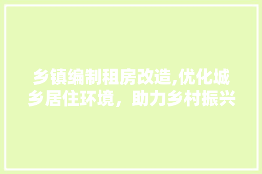 乡镇编制租房改造,优化城乡居住环境，助力乡村振兴 墙体维修