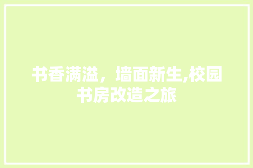 书香满溢，墙面新生,校园书房改造之旅