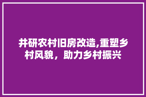 井研农村旧房改造,重塑乡村风貌，助力乡村振兴