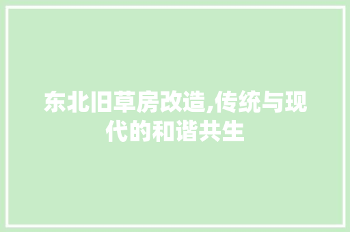 东北旧草房改造,传统与现代的和谐共生 墙体维修