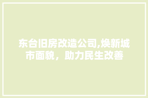 东台旧房改造公司,焕新城市面貌，助力民生改善 综合便民