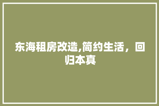 东海租房改造,简约生活，回归本真 家电维修