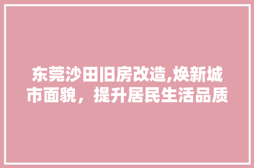 东莞沙田旧房改造,焕新城市面貌，提升居民生活品质 综合便民