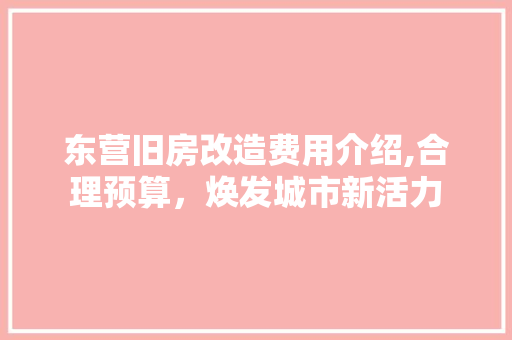 东营旧房改造费用介绍,合理预算，焕发城市新活力