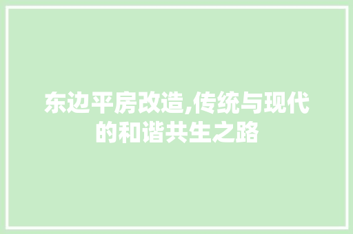 东边平房改造,传统与现代的和谐共生之路