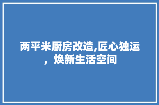 两平米厨房改造,匠心独运，焕新生活空间