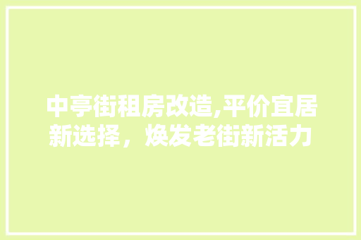 中亭街租房改造,平价宜居新选择，焕发老街新活力