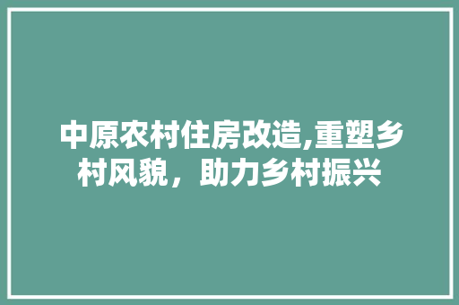 中原农村住房改造,重塑乡村风貌，助力乡村振兴