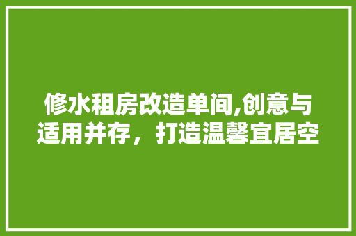 修水租房改造单间,创意与适用并存，打造温馨宜居空间