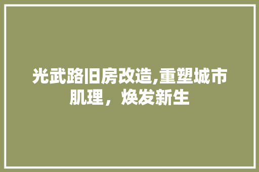 光武路旧房改造,重塑城市肌理，焕发新生