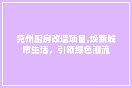 兖州厨房改造项目,焕新城市生活，引领绿色潮流