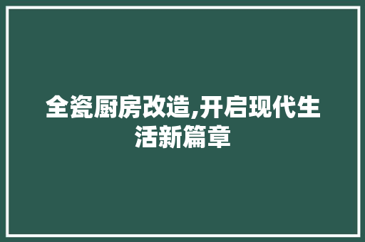 全瓷厨房改造,开启现代生活新篇章