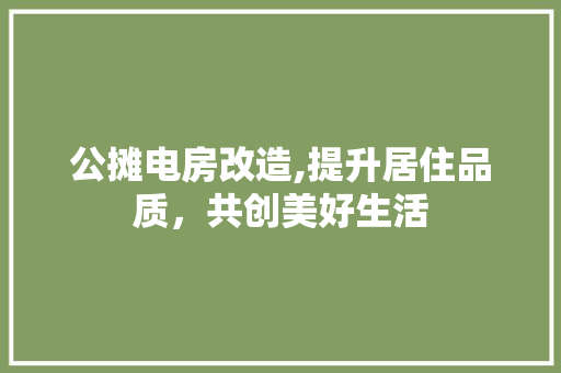 公摊电房改造,提升居住品质，共创美好生活