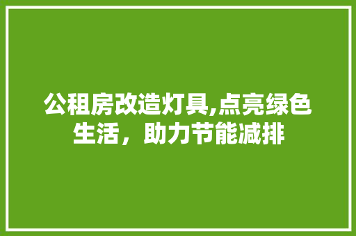 公租房改造灯具,点亮绿色生活，助力节能减排 综合便民
