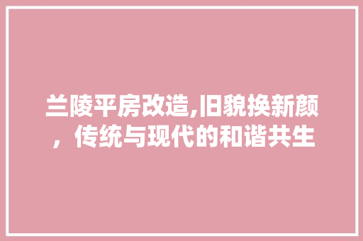 兰陵平房改造,旧貌换新颜，传统与现代的和谐共生 综合便民