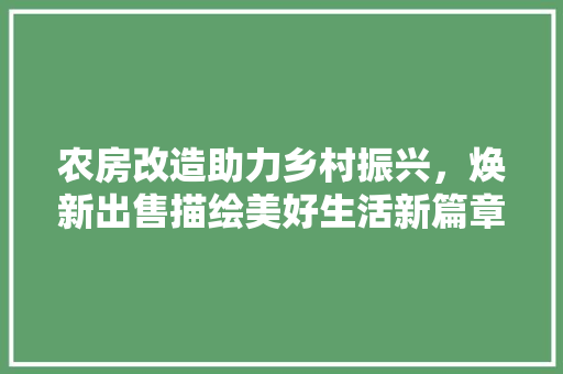 农房改造助力乡村振兴，焕新出售描绘美好生活新篇章 墙体维修