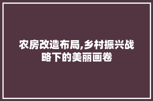 农房改造布局,乡村振兴战略下的美丽画卷 厨房维修