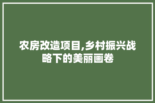 农房改造项目,乡村振兴战略下的美丽画卷 墙体维修