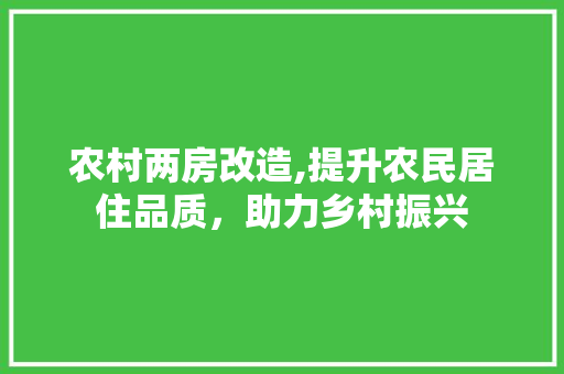 农村两房改造,提升农民居住品质，助力乡村振兴 综合便民