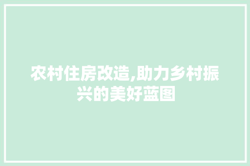 农村住房改造,助力乡村振兴的美好蓝图 综合便民