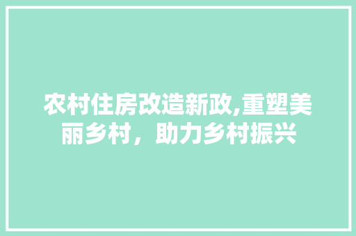 农村住房改造新政,重塑美丽乡村，助力乡村振兴 综合便民