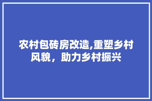 农村包砖房改造,重塑乡村风貌，助力乡村振兴 家电维修