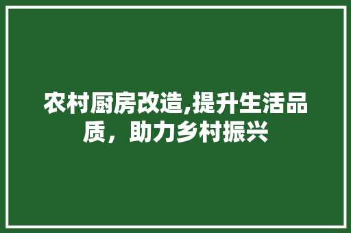 农村厨房改造,提升生活品质，助力乡村振兴 汽车维修