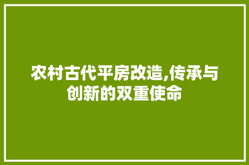 农村古代平房改造,传承与创新的双重使命