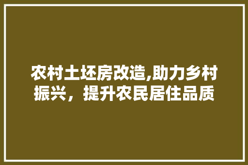 农村土坯房改造,助力乡村振兴，提升农民居住品质