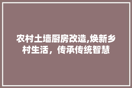 农村土墙厨房改造,焕新乡村生活，传承传统智慧
