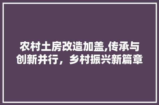 农村土房改造加盖,传承与创新并行，乡村振兴新篇章