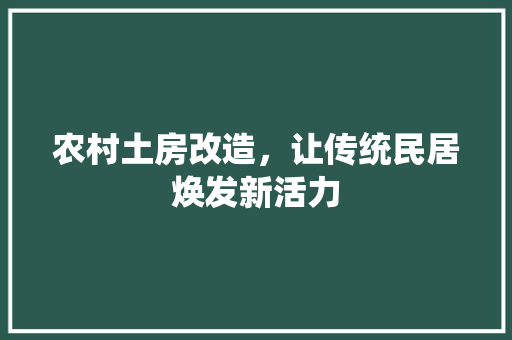 农村土房改造，让传统民居焕发新活力