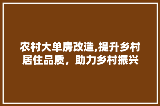 农村大单房改造,提升乡村居住品质，助力乡村振兴