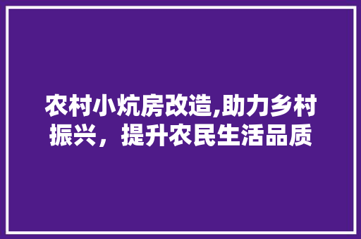 农村小炕房改造,助力乡村振兴，提升农民生活品质