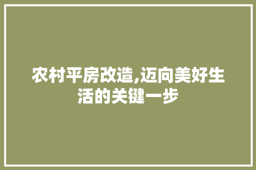 农村平房改造,迈向美好生活的关键一步