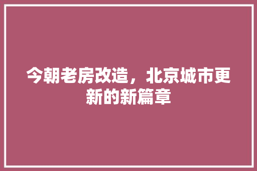 今朝老房改造，北京城市更新的新篇章