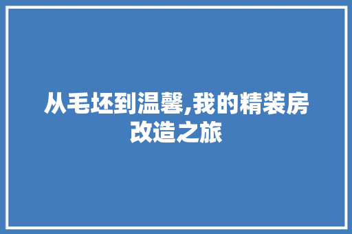 从毛坯到温馨,我的精装房改造之旅