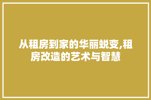 从租房到家的华丽蜕变,租房改造的艺术与智慧