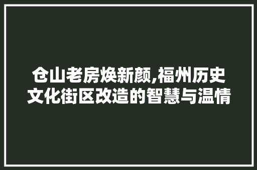仓山老房焕新颜,福州历史文化街区改造的智慧与温情