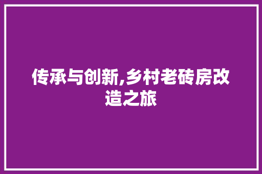 传承与创新,乡村老砖房改造之旅