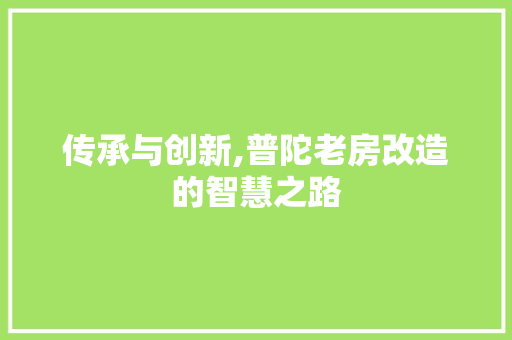 传承与创新,普陀老房改造的智慧之路 墙体维修