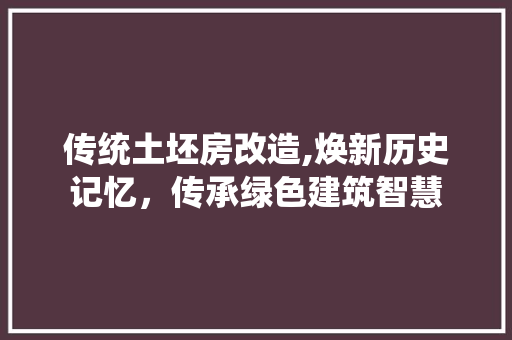 传统土坯房改造,焕新历史记忆，传承绿色建筑智慧