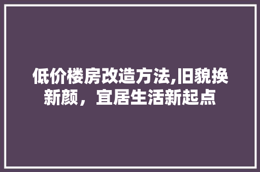 低价楼房改造方法,旧貌换新颜，宜居生活新起点 综合便民