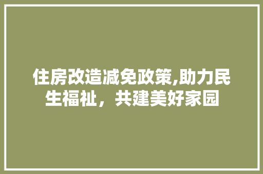 住房改造减免政策,助力民生福祉，共建美好家园 厨房维修