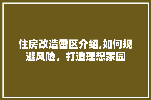 住房改造雷区介绍,如何规避风险，打造理想家园 墙体维修