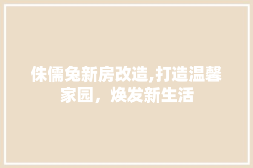 侏儒兔新房改造,打造温馨家园，焕发新生活