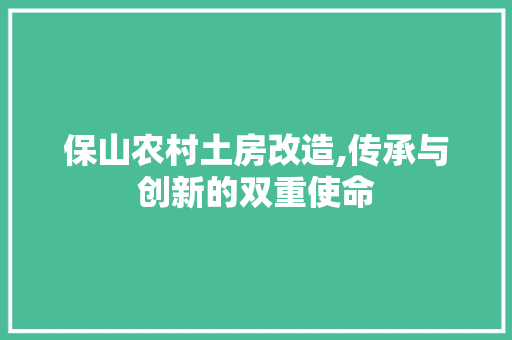 保山农村土房改造,传承与创新的双重使命 墙体维修
