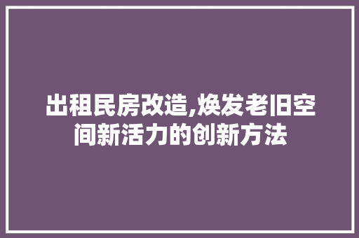 出租民房改造,焕发老旧空间新活力的创新方法 家电维修